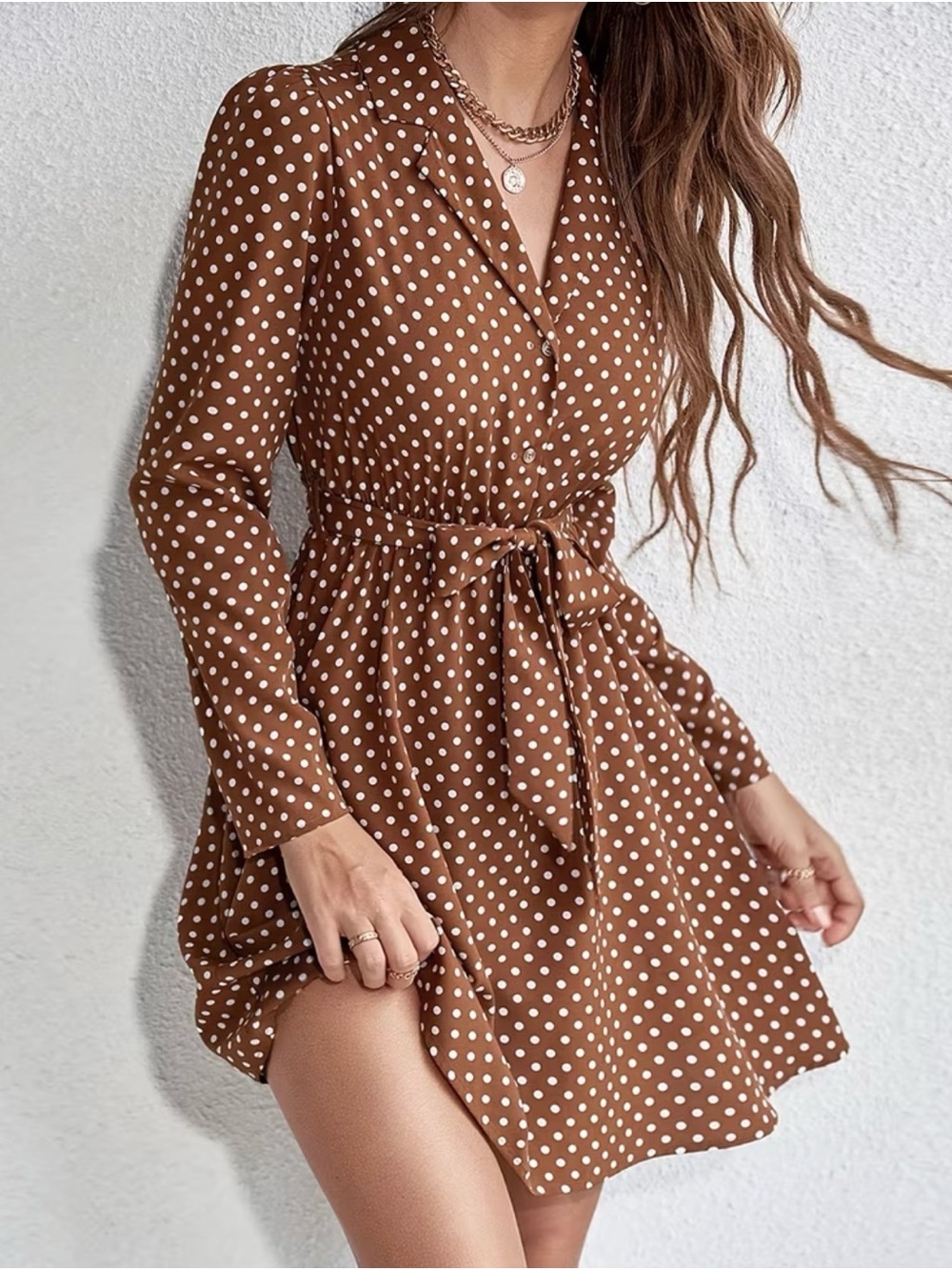 Polka Dot Tie-Waist Brown Dress